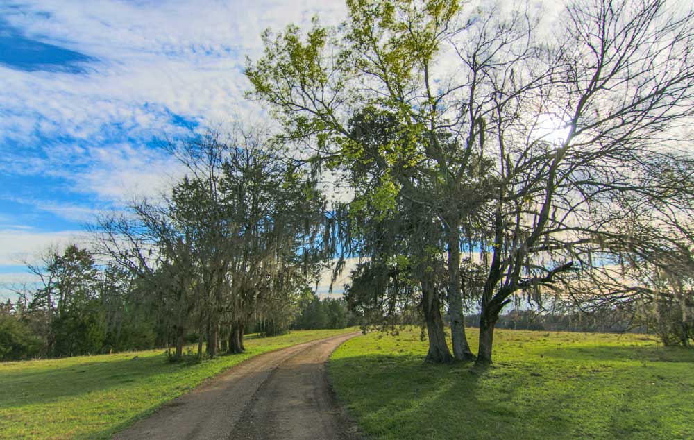 Sell with Farm & Forest Brokers